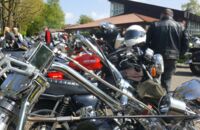 2017 - MOGO Buxtehude